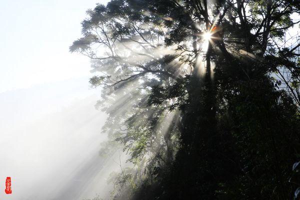 除了地震，瘟疫，火灾，虫害，人类还有可能遇到什么自然灾害呢？