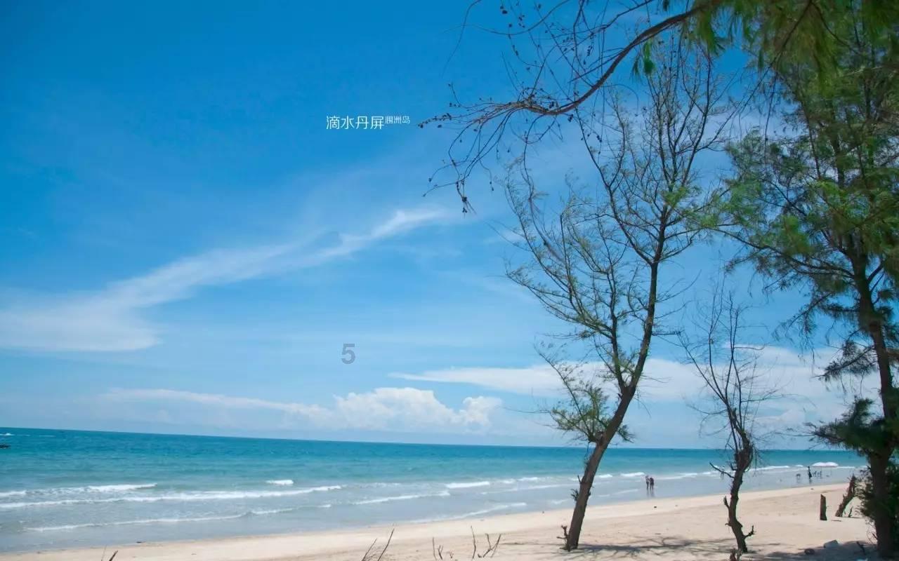 逗小猴开心系列180