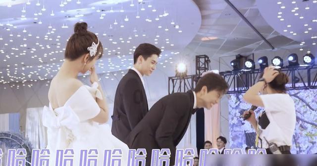 美美哒怎么幽默回复？游戏画面
