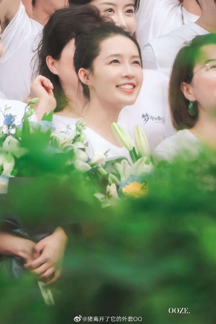 破碎的动物图形3